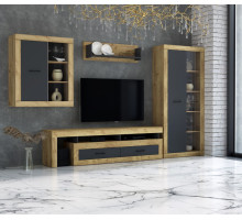 Гостиная Loft 4 (Дуб золотой/Антрацит)  фабрика Интерлиния  