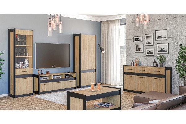 Гостиная МС СТЕНЛИ (Дуб Прованс/Черный) Мебель-Неман