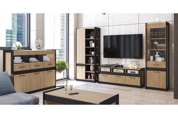 Гостиная МС СТЕНЛИ (Дуб Прованс/Черный) Мебель-Неман