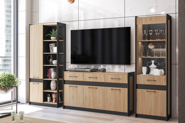 Гостиная МС СТЕНЛИ (Дуб Прованс/Черный) Мебель-Неман