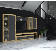 Гостиная Loft 2 (Дуб золотой/Антрацит)  фабрика Интерлиния  