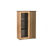 ШКАФ КОМБИНИРОВАННЫЙ 51.03 ЛИБЕРТИ (ОПОРА H=20ММ)  Фабрика Олмеко