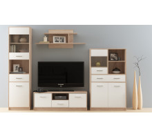 Модульная гостиная "Стелс" (Дуб сонома/белый) фабрика Империал 