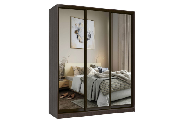 Шкаф-купе «ПРЕСТИЖ» 176 VVG.05